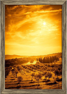 Artzfolio Olive Field in Tuscany, Central Italy Tabletop Painting Antique Golden Frame 8inch x 11.3inch (20.3cms x 28.8cms) Digital Reprint 8.5 inch x 11.8 inch Painting(With Frame)