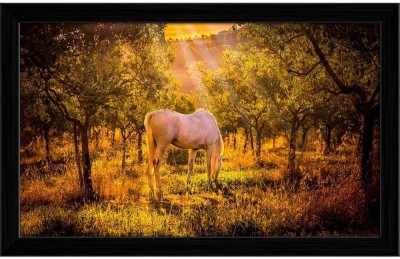 Artzfolio White Wild Horse In Olive Tuscan Orchard Tabletop Painting Black Frame 12.8inch x 8inch (32.5cms x 20.3cms) Digital Reprint 8.5 inch x 13.3 inch Painting(With Frame)