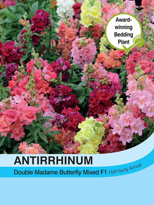 VibeX ICRA-809-Antirrhinum Tom Thumb Mixed Seeds Seed(15 per packet)