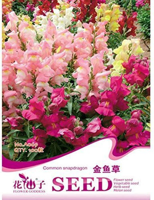 VibeX Snapdragon Seed(20 per packet)