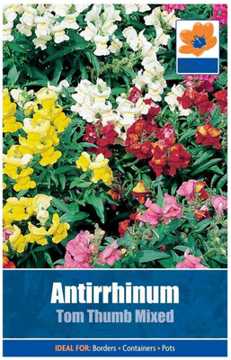 VibeX Mix Seeds - Mixed Colour Snapdragon Seed(20 per packet)