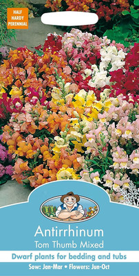 VibeX PAU-867-ANTIRRHINUM Twilight Mix Seed Seed(20 per packet)