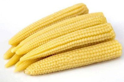 XOLDA Baby Corn Seed(35 per packet)