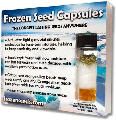 VibeX PAU-1539-Cream Yellow Snapdragon Seeds (Antirrhinum majus)FROZEN SEED CAPSULES Seed(20 per packet)