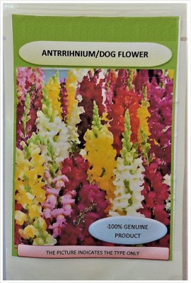 VibeX HUA-397-Snapdragon Flower Seeds Seed(125 per packet)