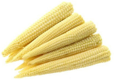 XOLDA Baby Corn Seed(30 per packet)