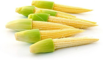 XOLDA Baby Corn Seed(53 per packet)