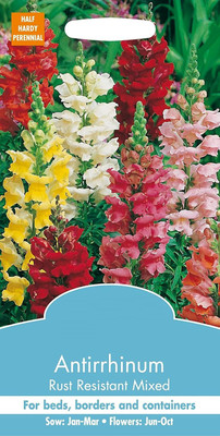 VibeX Flower - Antirrhinum Snappy Tongue Seed(100 per packet)