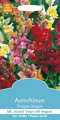 VibeX NBIR-684-Flowers - Antirrhinum Dwarf Bedding Mixed Seed(60 per packet)