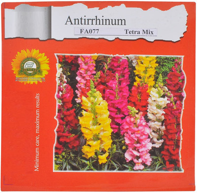 CRGO ANTIRRHINUM Seed(50 per packet)