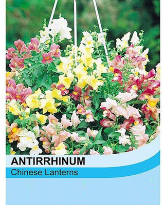 CRGO ANTIRRHINUM Seed(125 per packet)