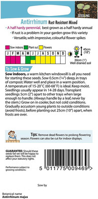 VibeX HUA-829-Antirrhinum Snappy Tongue Seed(125 per packet)