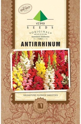 VibeX 1042-Chinese Lanterns' Antirrhinum pendula multiflora 'Chinese Lanterns' F1 Hybrid Seed(10 per packet)