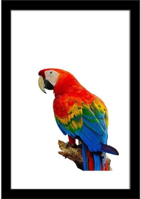 Colorful Scarlet Macaw Aviary Paper Poster Black Frame | Top Acrylic Glass 13inch x 19inch (33cms x 48.3cms) Paper Print(19 inch X 13 inch, Framed)