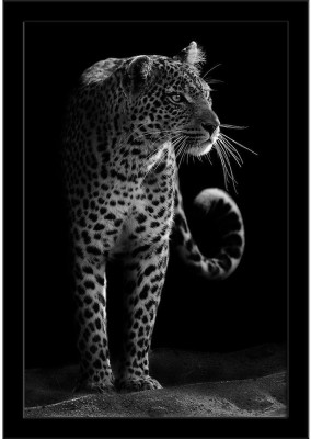 Leopard D2 Paper Poster Black Frame | Top Acrylic Glass 13inch x 19inch (33cms x 48.3cms) Paper Print(19 inch X 13 inch, Framed)