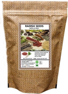 ORGANIC HERBS RADISH SEEDS Seed(200 per packet)