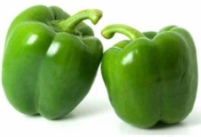 CYBEXIS PAU-28 - Green Capsicum Bell Pepper Shimla Mirch - (1350 Seeds) Seed(1350 per packet)