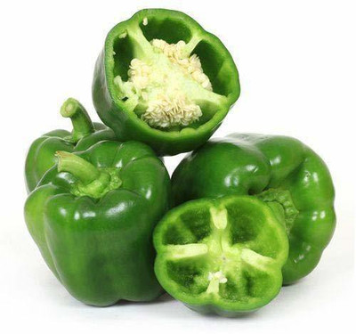 CYBEXIS XLL-18 - Green Capsicum Vegetable - (1350 Seeds) Seed(1350 per packet)