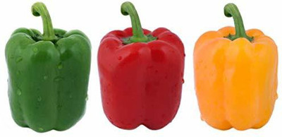 Aywal Capsicum/Shimla Mirch/Bell Pepper Seed(10 per packet)