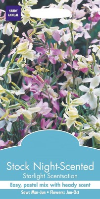 VibeX PAU-42-Flowers - Stocks T&M Brompton Mixed Seed(30 per packet)