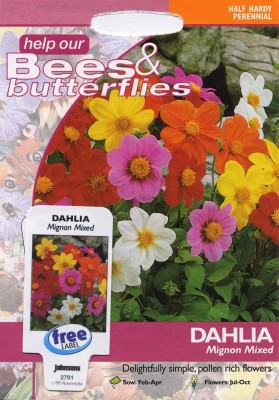 VibeX Dahlia Seed(10 per packet)