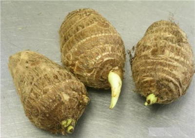 Aywal Taro Root,Kachu Seed(14 per packet)
