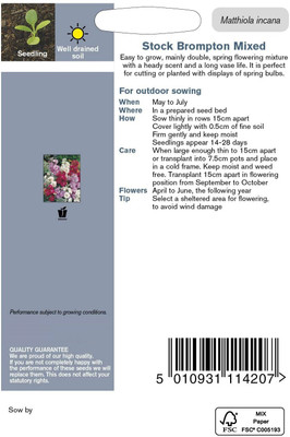 VibeX ™ PAU-33-Cut Flowers -Stock Excelsior Mixed Seed(30 per packet)