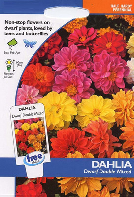 VibeX Dahlia Seed(100 per packet)