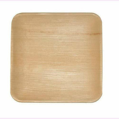 Fabrica Eco Friendly Square Areca Leaf Plates- 10 Inches (Pack of 25) Dinner Plate(25 Dinner Plate)