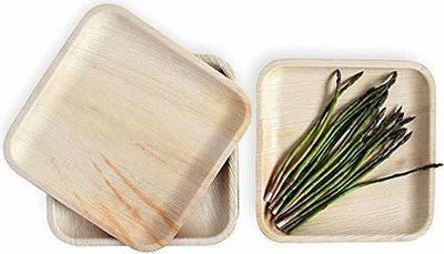 Fabrica Eco Friendly Square Areca Leaf Plates- 8 Inches (Pack of 25) Dinner Plate(25 Dinner Plate)