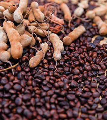 MKR Enterprises Imli Seed(145 per packet)