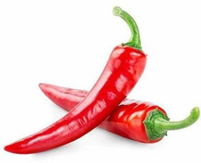 TANMAY FUN ZONE CHILLI Seed(200 per packet)