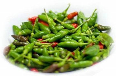 TANMAY FUN ZONE CHILLI Seed(200 per packet)