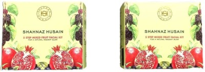 Shahnaz Husain 5 Step Mix Fruit Facial Kit (50 g + 50 g)(2 x 50 g)