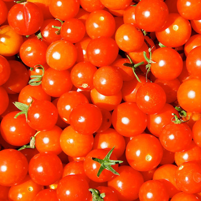 MKR Enterprises Tomato Seed(1700 per packet)