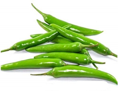 TANMAY FUN ZONE CHILLI Seed(200 per packet)