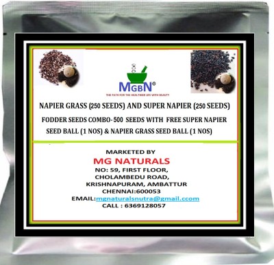 MGBN Napier grass (250 seeds) and Super napier (250 seeds) fodder seeds combo-500 seeds with free super napier seed ball (1 nos) & napier grass seed ball (1 nos) Seed(500 per packet)