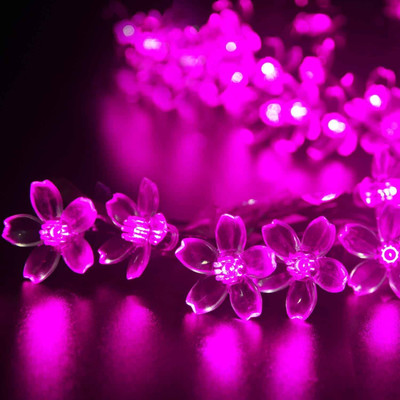 NISCO 36 LEDs 7.98 m Pink Steady Flower Rice Lights(Pack of 1)