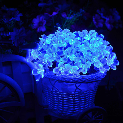 Infiprises 36 LEDs 8 m Blue Steady String Rice Lights(Pack of 1)