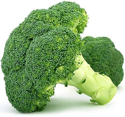 XOLDA Broccoli Seed(44 per packet)