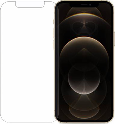 Bonqo Impossible Screen Guard for Apple iPhone 12 Pro(Pack of 1)