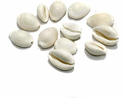 Crafto Natural Kawdi/Koudi Shells/Cowrie Shell Beads White Size for Jewellery Making and Beading Projects, Pack of 100 Pcs