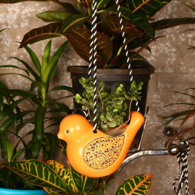 Justoriginals Hanging Bird Ceramic Ceramic Flower Pot(Color:Orange) Plant Container Set(Ceramic)