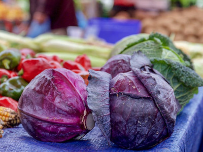 Paudha Cabbage Red Seed(52 per packet)