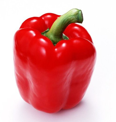 Paudha Capsicum Red Seed(24 per packet)