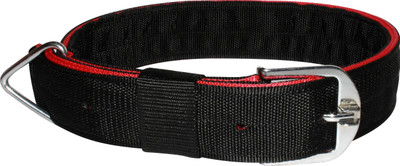 S.Blaze Dog Everyday Collar(Extra Large, Black)