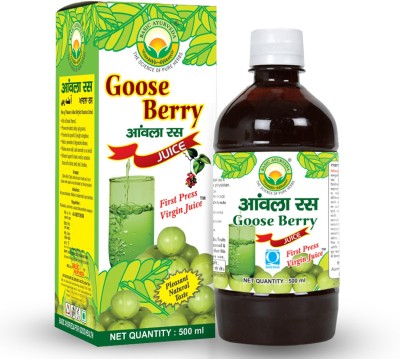 Basic Ayurveda Goose Berry Juice (Amla Ras) Pack Of 4(4 x 500 ml)