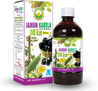 Basic Ayurveda Jamun Karela Herbal Mix Juice(2 x 1000 ml)