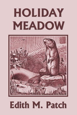 Holiday Meadow (Yesterday's Classics)(English, Paperback, Patch Edith M)