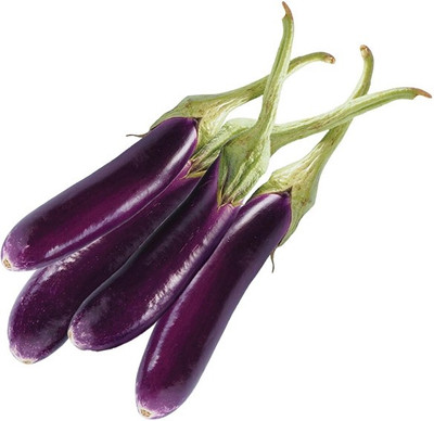 Paudha Brinjal Long Seed(10 per packet)